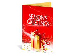 250 Greeting Cards - 10x7 One Side