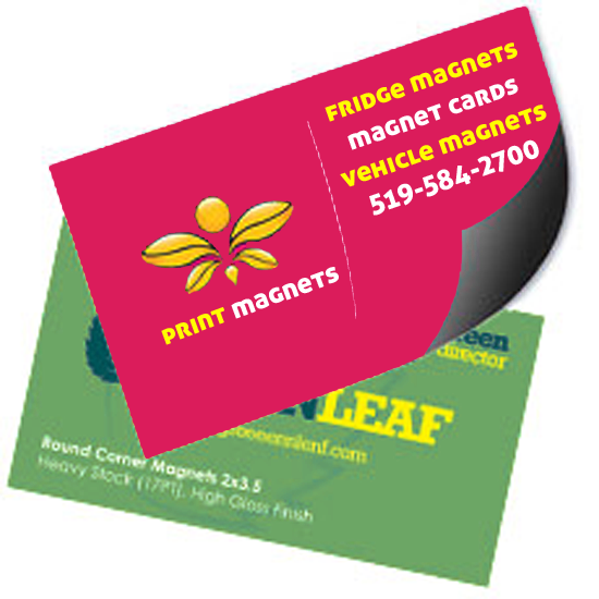 ElectraColour Kitchener Waterloo Printing